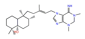 Agelasimine B